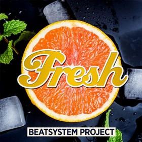 Beatsystem Project