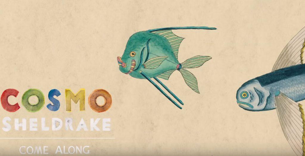 Cosmo Sheldrake - Come Along