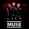 Muse
